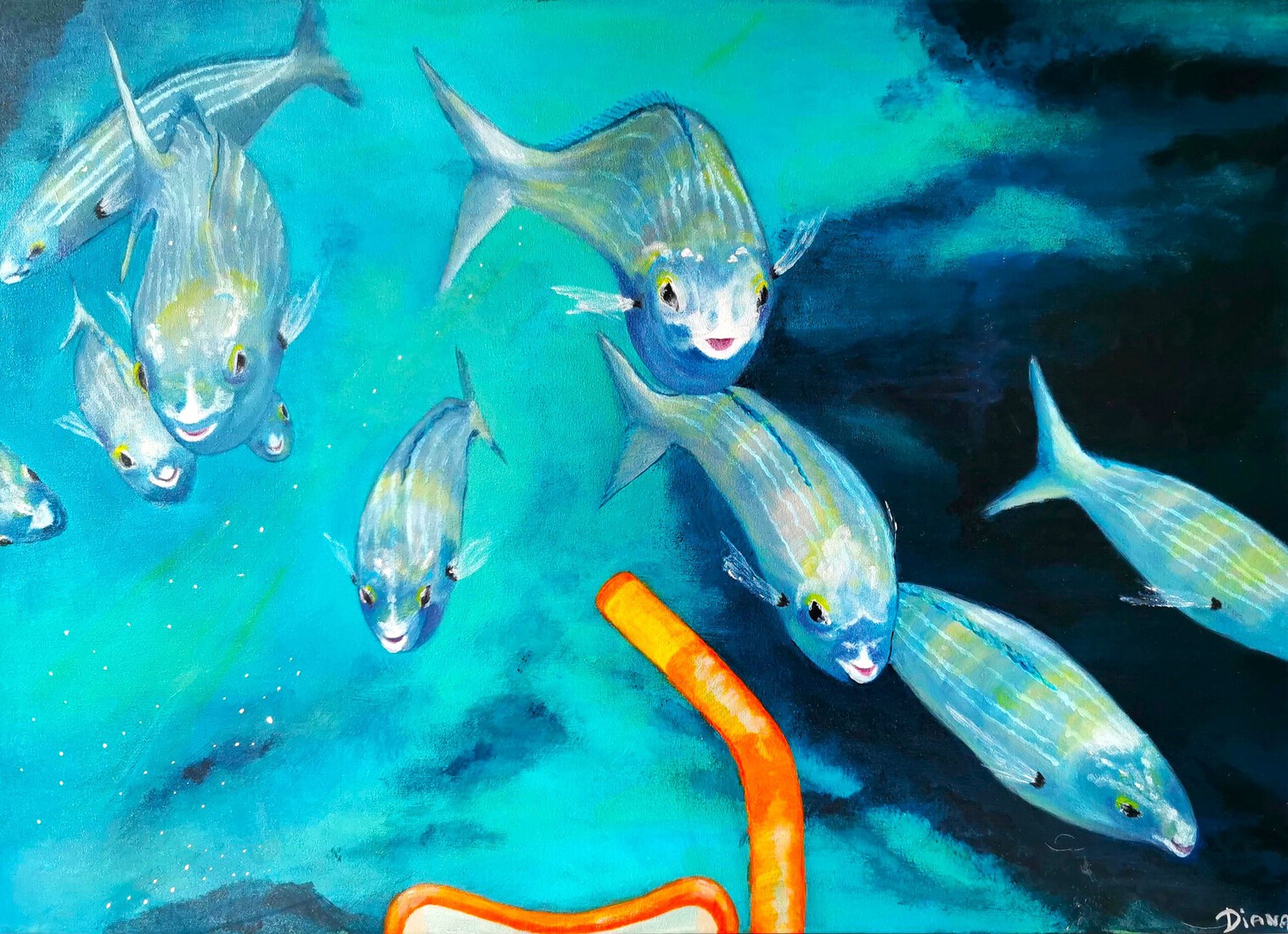 Henri parmi les poissons