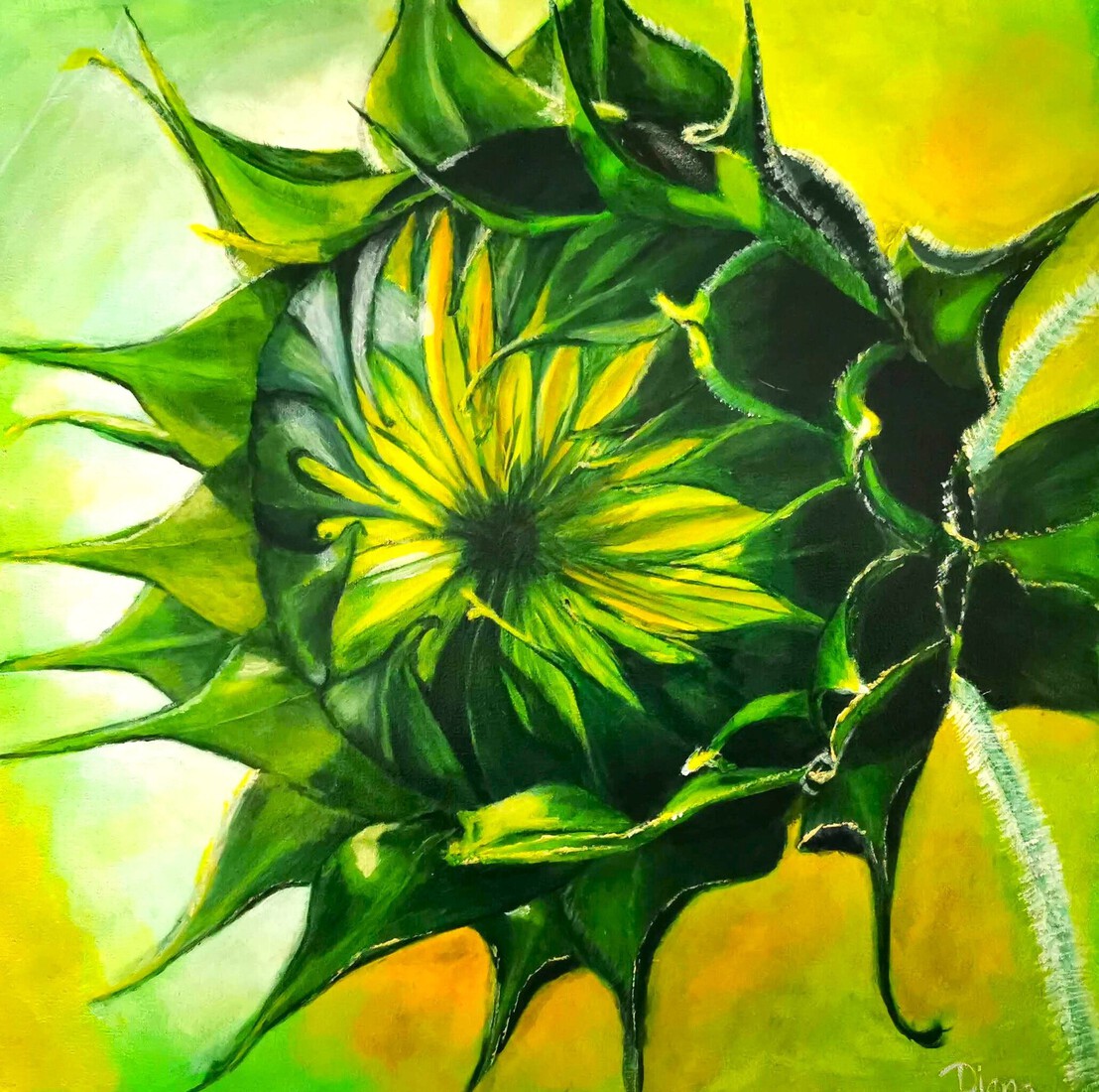 Le reveil du tournesol