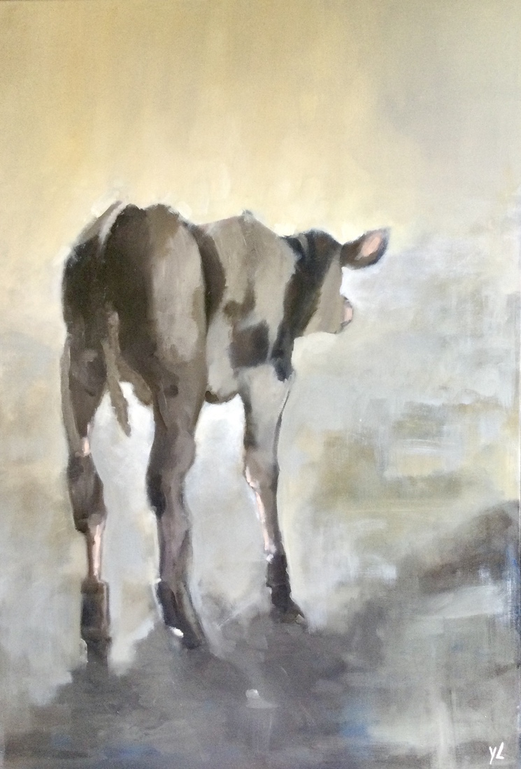 Kalfje in het zonlicht