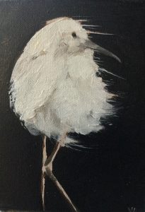 Dieren