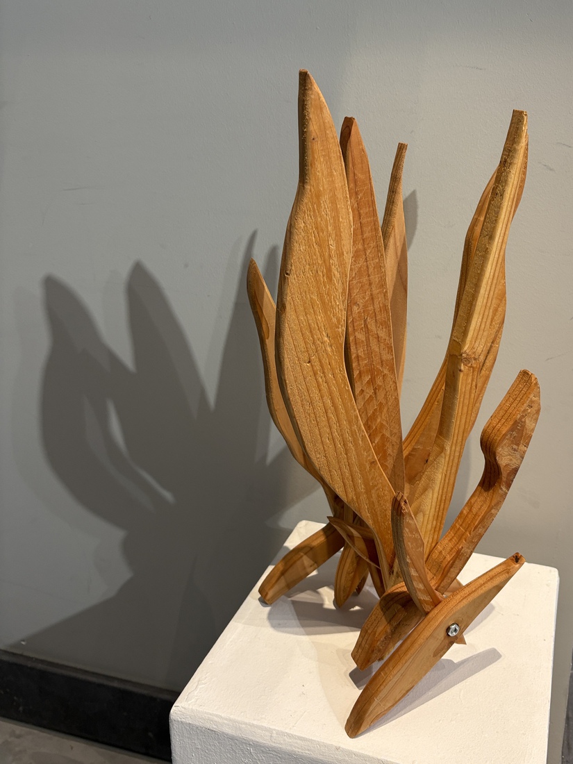 Douglas hout object 4