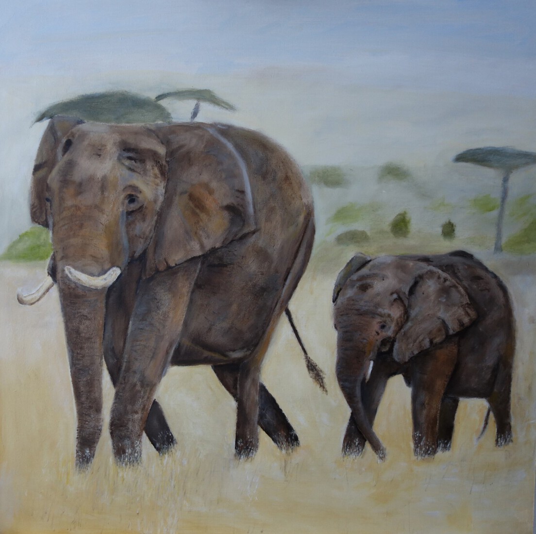Zuid-Afrikaanse olifant